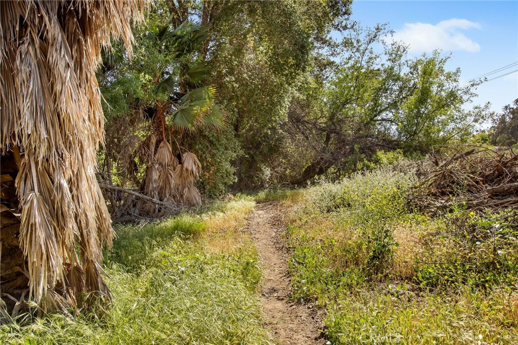 https://media.crmls.org/medias/e954c604-898e-414e-95ab-86eaf71dc4c1.jpg?preset=X-Large