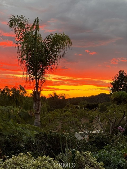 Detail Gallery Image 50 of 51 For 18522 Topanga Canyon, Silverado,  CA 92676 - 5 Beds | 4 Baths