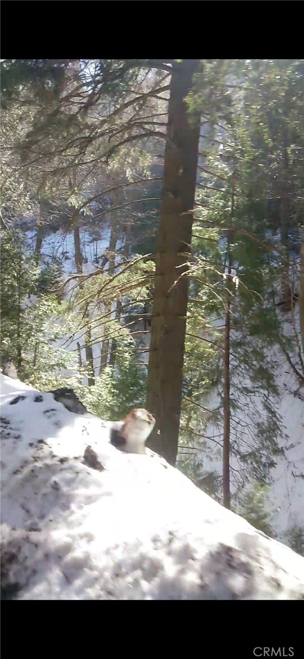 0 Saxon, Crestline CA: https://media.crmls.org/medias/e96113d5-7ccb-4ed1-8f94-8fdf2eb3fed5.jpg