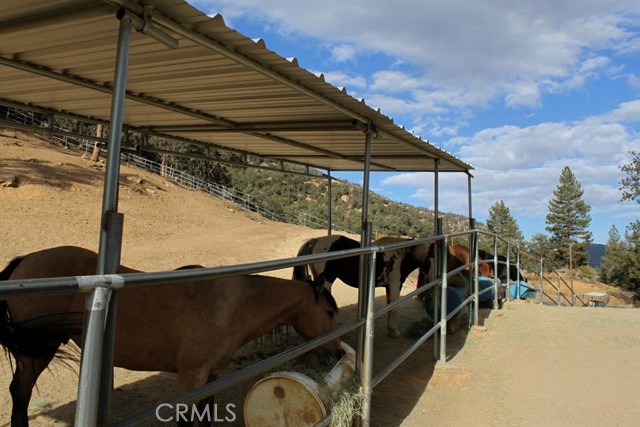 Detail Gallery Image 31 of 41 For 16324 Grizzly, –,  CA 93222 - 1 Beds | 1 Baths