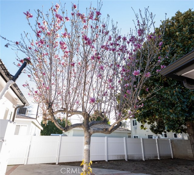 6225 Noble Avenue, Van Nuys CA: https://media.crmls.org/medias/e96b6635-ba7d-4cef-a7da-de598f21f8d8.jpg