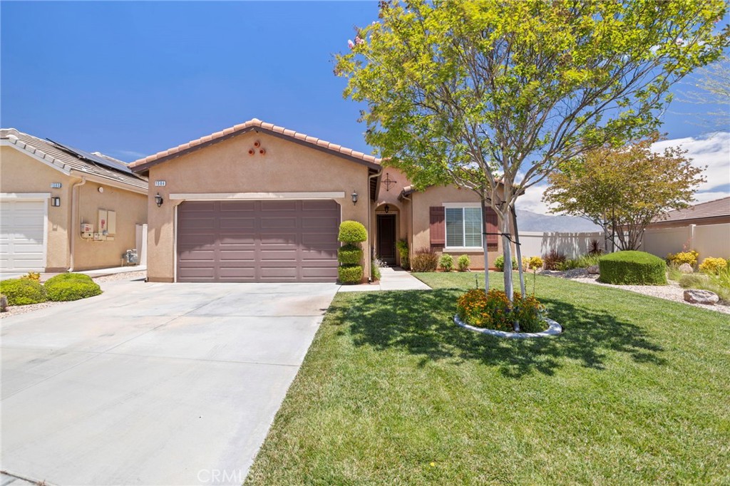 1584 Vinson