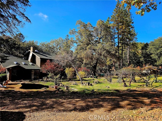 Detail Gallery Image 8 of 31 For 38088 Serpa Canyon Rd, Coarsegold,  CA 93614 - 3 Beds | 2 Baths