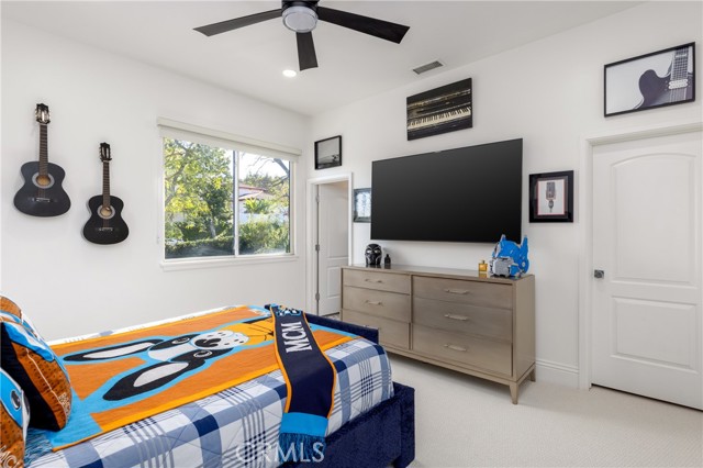 Image 38 of 70 For 8 Palomino  