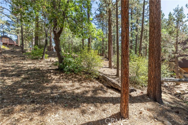 Detail Gallery Image 7 of 14 For 0 Kern Ave, Sugarloaf,  CA 92386 - – Beds | – Baths