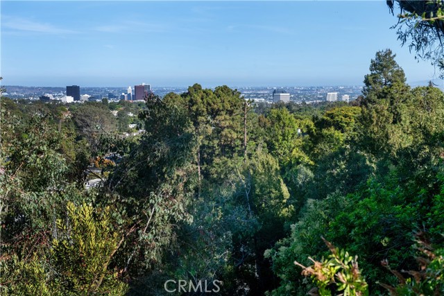 Detail Gallery Image 28 of 33 For 753 Claymont Dr, Los Angeles,  CA 90049 - 3 Beds | 3 Baths