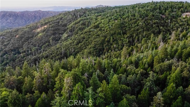 0 Mid Lane, Twin Peaks CA: https://media.crmls.org/medias/e988525b-73c9-4a10-804c-e501ec06d15a.jpg
