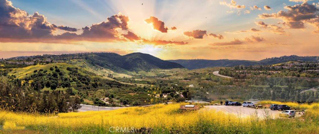 MLS #OC25250506 image #45