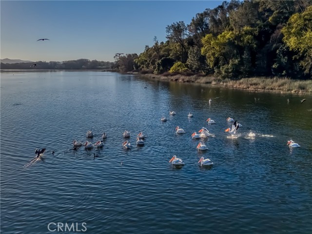 Detail Gallery Image 69 of 72 For 5740 Sunrise, Lower Lake,  CA 95457 - 3 Beds | 2 Baths