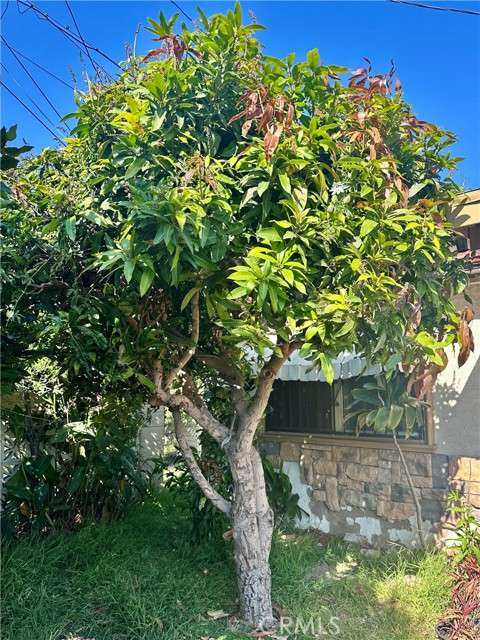 Detail Gallery Image 35 of 39 For 13608 Yukon Ave, Hawthorne,  CA 90250 - 5 Beds | 3 Baths