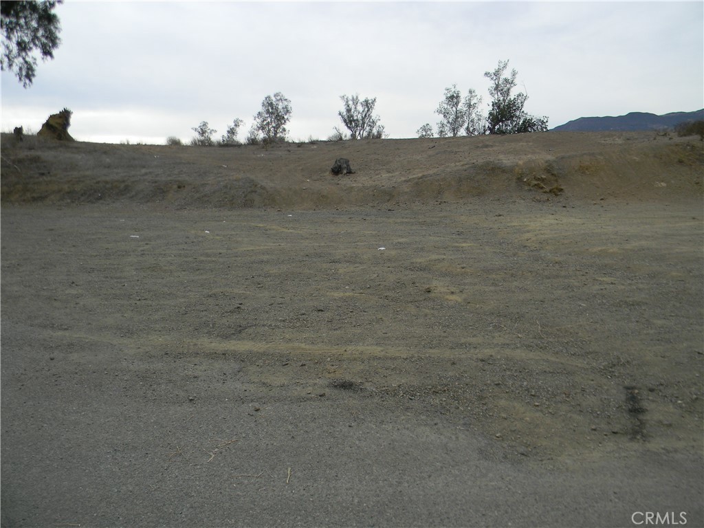 MLS #SW25275079 image #4