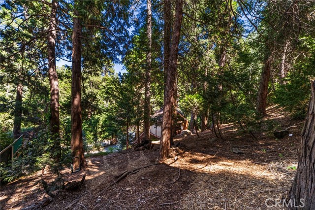 24599 Geneva, Crestline, CA 92325