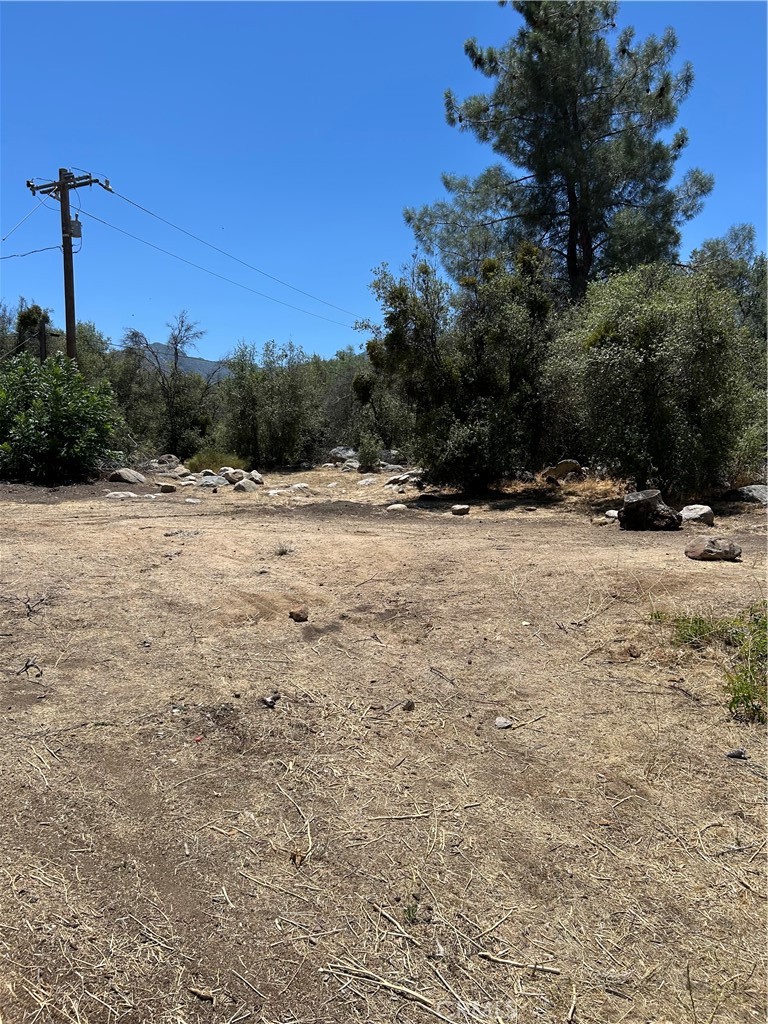 248 Bodfish Canyon