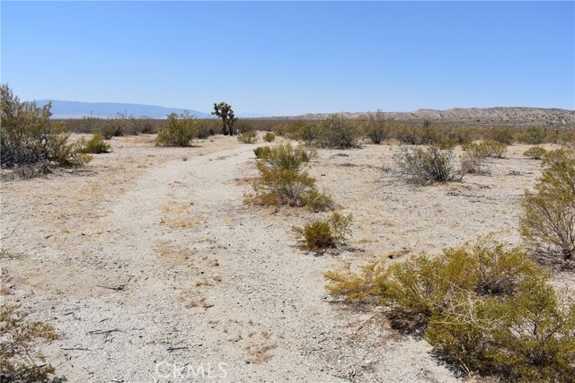 1 170th St W and s/o Irone Ave, Rosamond CA: https://media.crmls.org/medias/e9a4364a-5aef-4adb-8fc3-96f216f26dfa.jpg