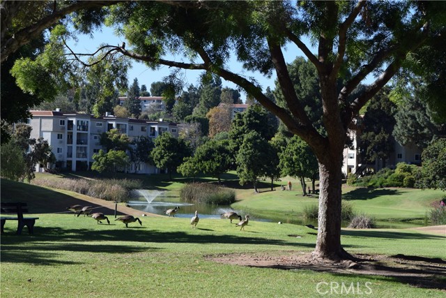 Detail Gallery Image 52 of 54 For 3014 a via Buena Vista a,  Laguna Woods,  CA 92637 - 2 Beds | 2 Baths