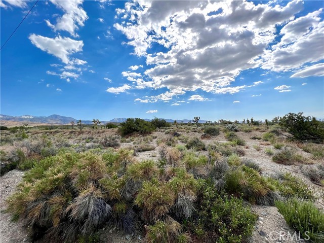 0 Vac/Vic Avenue Y8/205 Ste, Llano, California 93544, ,Land,For Sale,0 Vac/Vic Avenue Y8/205 Ste,CRJT23090982