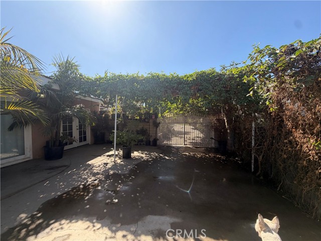 12366 Magnolia photo 4
