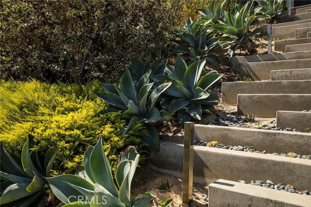 Beautifully Landscaped with native plants