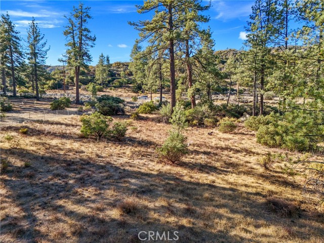 Detail Gallery Image 8 of 20 For 1 Pipe Creek Rd, Mountain Center,  CA 92561 - – Beds | – Baths