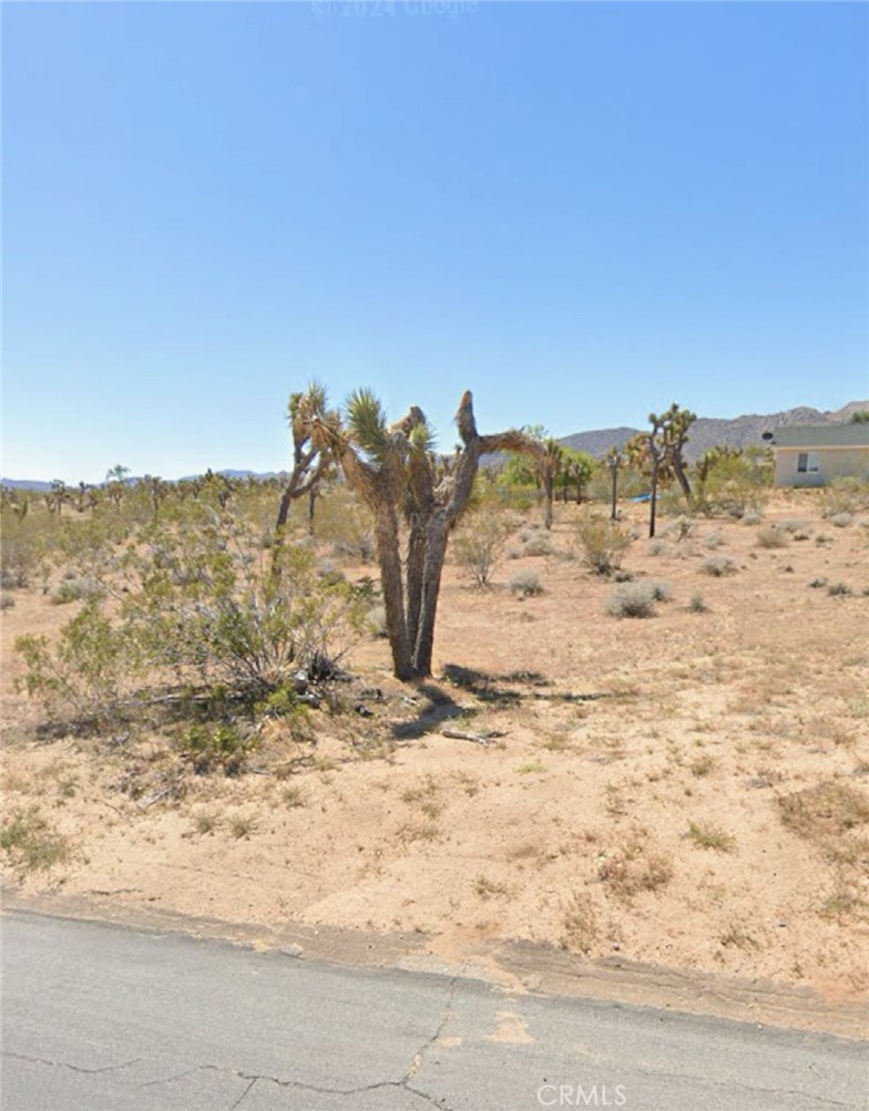 MLS #WS25024546 image #8