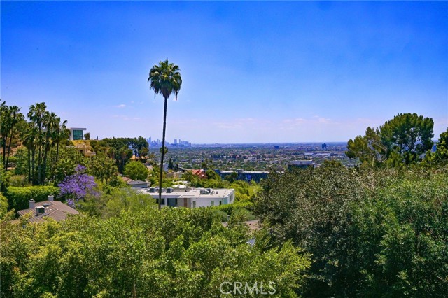 1450 Sunset Plaza Drive Hollywood Hills, California 1450 Sunset Plaza Drive