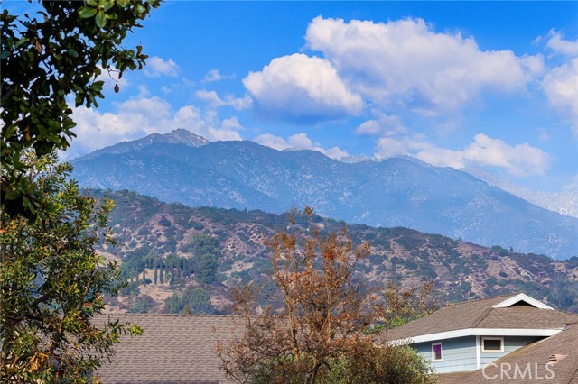 338 Laurel Avenue, Arcadia CA: https://media.crmls.org/medias/e9c2ee4b-dbb7-4c5e-835b-8ea88e109992.jpg