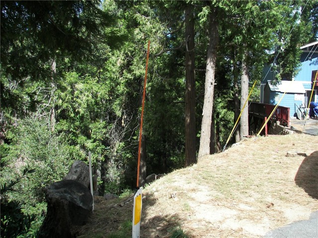 23730 Lakeview, Crestline, CA 92325
