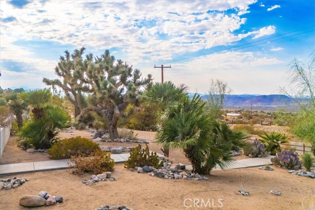 Detail Gallery Image 59 of 69 For 60555 Onaga Trl, Joshua Tree,  CA 92252 - 4 Beds | 2/1 Baths