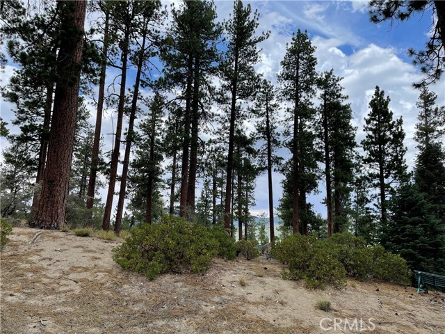 748 Paine, Big Bear Lake, CA, 92315 748 Paine, Big Bear Lake, CA, 92315
