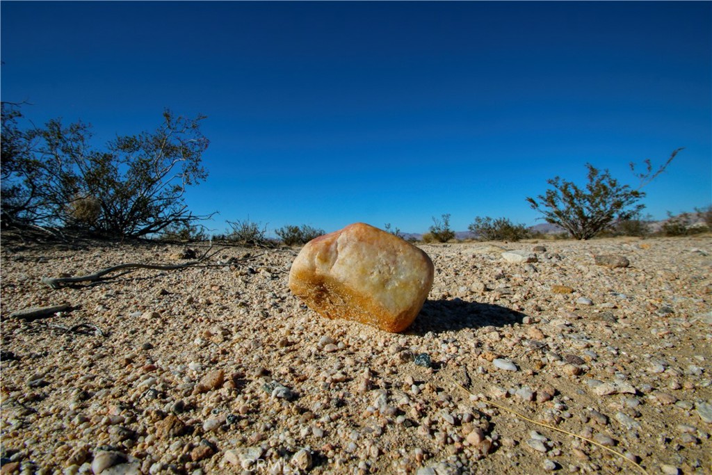 MLS #JT25235067 image #19