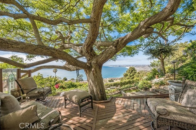 Mature tree provides ample shade mid-tier in backyard