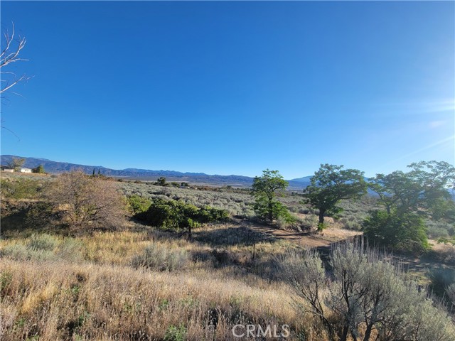 Detail Gallery Image 26 of 46 For 44451 Jay Dr, Anza,  CA 92539 - 3 Beds | 2 Baths