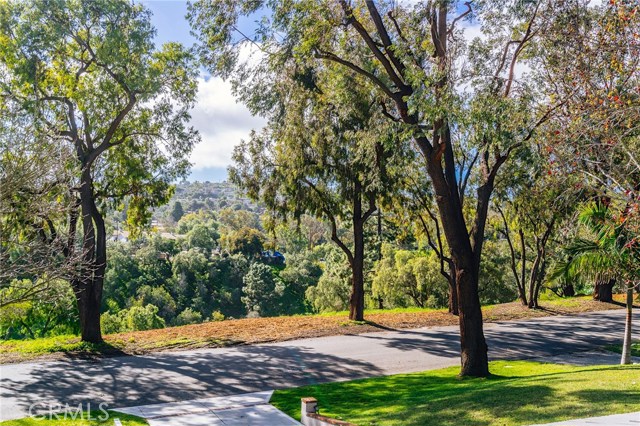 View from the home overlooking the driveway and canyon.