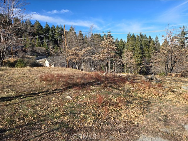 Detail Gallery Image 2 of 5 For 2350 Deep Creek, Running Springs,  CA 92382 - – Beds | – Baths