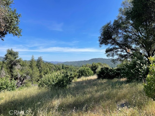 0 Triangle Road, Mariposa CA: https://media.crmls.org/medias/e9d9374d-b486-46eb-8e07-67778dc7344f.jpg