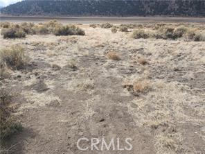 0 11th Street, Big Bear City CA: https://media.crmls.org/medias/e9dc3804-726d-4d04-b72d-bc90ecd8efe4.jpg