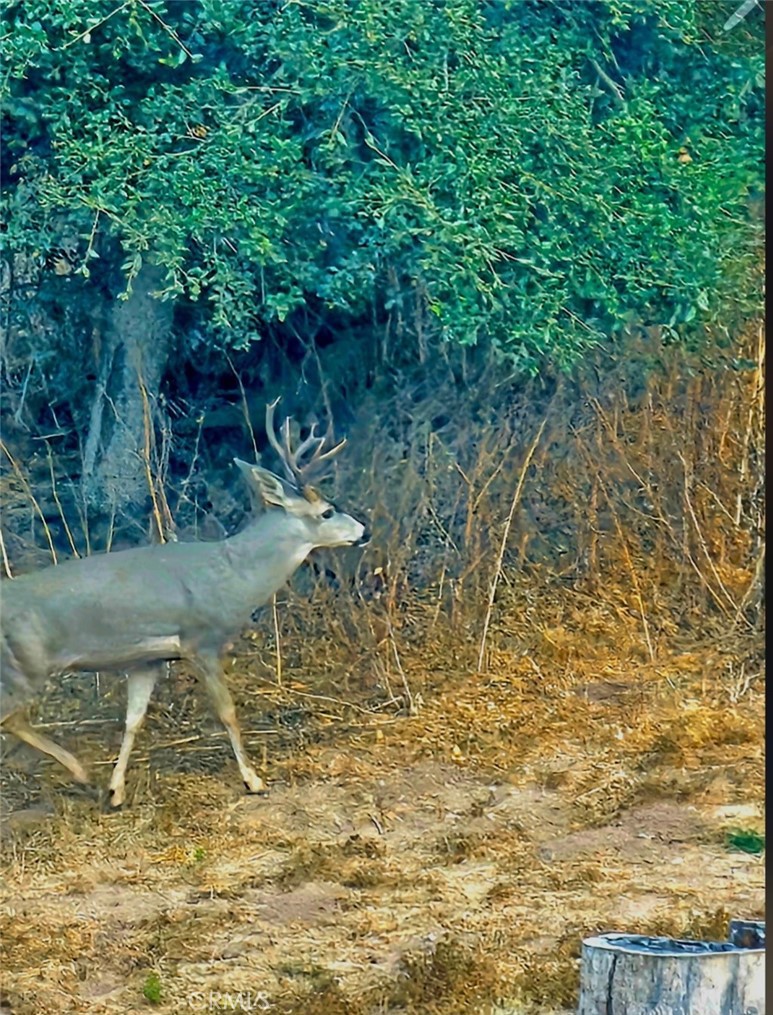 https://media.crmls.org/medias/e9e8b4ce-0ef7-4def-9675-2ef20e0d8856.jpg?preset=X-Large