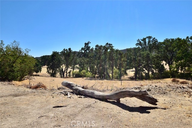 Detail Gallery Image 49 of 54 For 76980 San Antonio Rd, Bradley,  CA 93426 - 4 Beds | 2 Baths