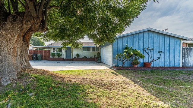 Front Image Thumbnail for CROC23136115