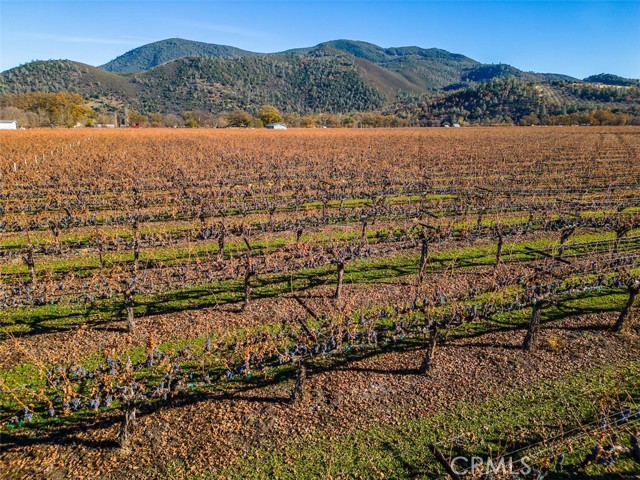 Detail Gallery Image 25 of 26 For 4150 Gaddy Ln, Kelseyville,  CA 95451 - – Beds | – Baths