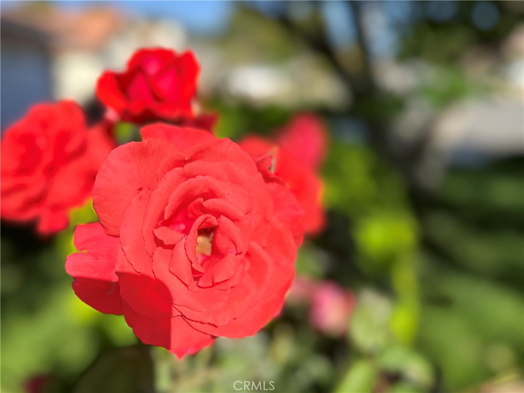 https://media.crmls.org/medias/e9f094cc-f671-499c-be62-5f65ba6453b7.jpg?preset=X-Large