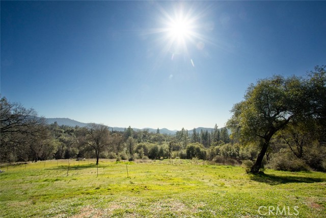 Detail Gallery Image 64 of 74 For 1718 Robinson Mill Rd, Bangor,  CA 95914 - 3 Beds | 2/1 Baths