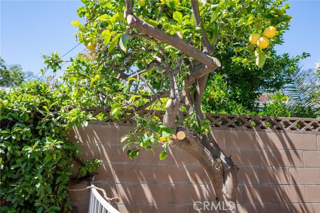Detail Gallery Image 51 of 64 For 939 W Orange Rd, Santa Ana,  CA 92706 - 3 Beds | 2 Baths
