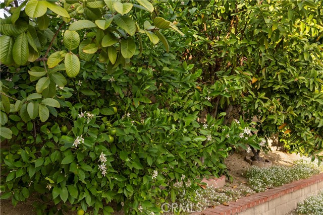 Detail Gallery Image 41 of 50 For 1000 Heaton Moor, Walnut,  CA 91789 - 4 Beds | 3 Baths