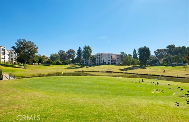 Detail Gallery Image 30 of 38 For 2390 via Mariposa 3c,  Laguna Woods,  CA 92637 - 1 Beds | 1 Baths