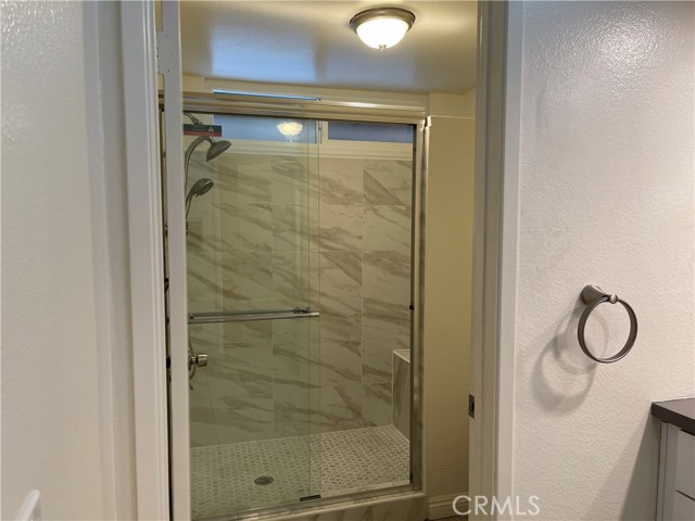 Master Bathroom Shower