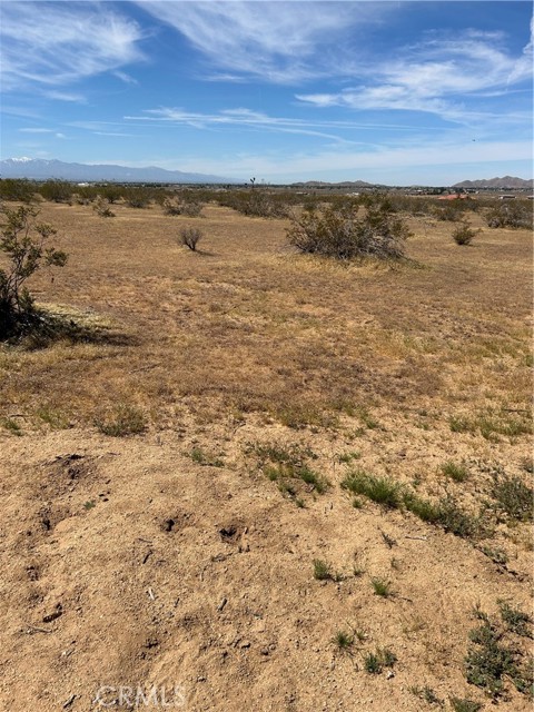 Detail Gallery Image 5 of 9 For 0 Japatul, Apple Valley,  CA 92307 - – Beds | – Baths