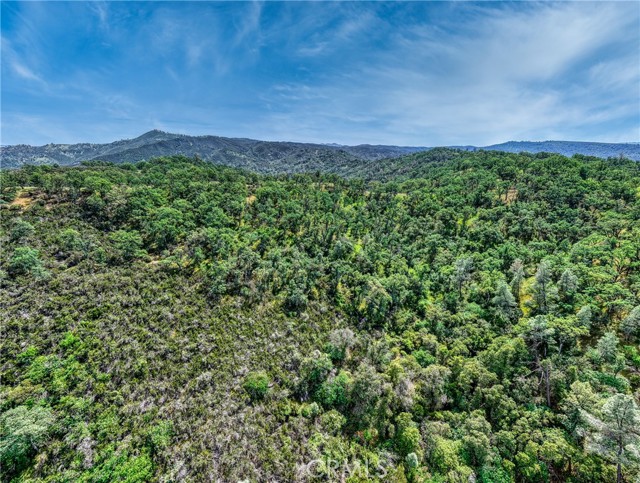 Detail Gallery Image 35 of 42 For 990 Junction Plaza, Clearlake,  CA 95451 - – Beds | – Baths