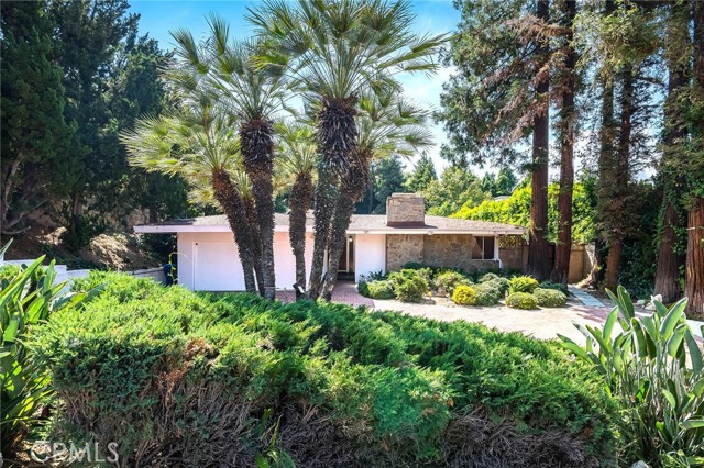 16258 Bertella Drive photo 4