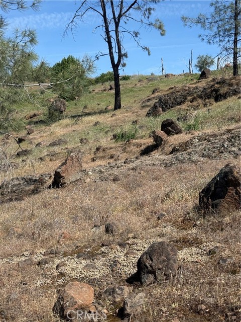 Detail Gallery Image 10 of 33 For 0 Round Valley Ranch, Paradise,  CA 95969 - – Beds | – Baths